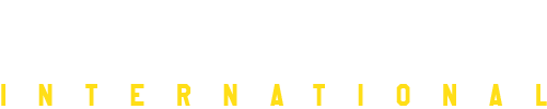 Tech Styles International Logo